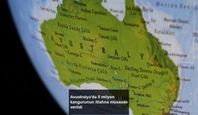 Avustralya’da 5 milyon kangurunun itlafına müsaade verildi