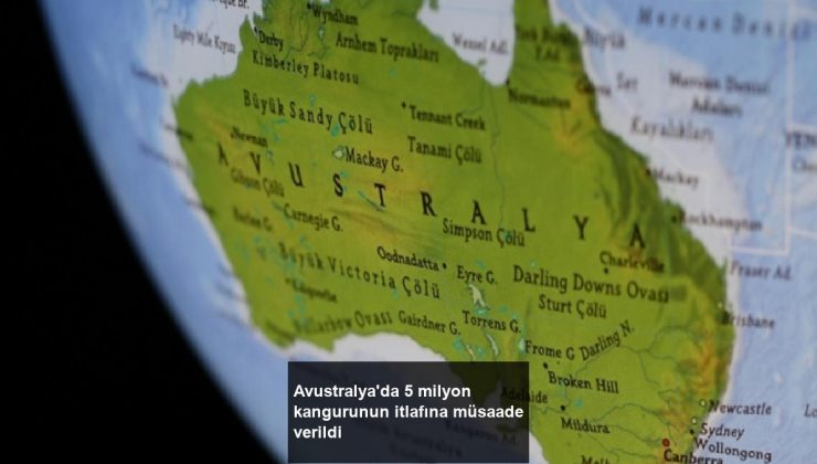 Avustralya’da 5 milyon kangurunun itlafına müsaade verildi
