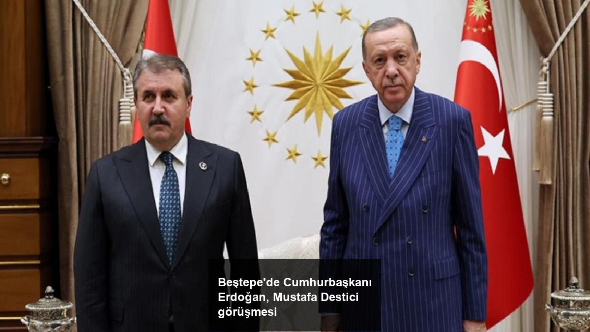 bestepede-cumhurbaskani-erdogan-mustafa-destici-gorusmesi-PZWM4iey.jpg