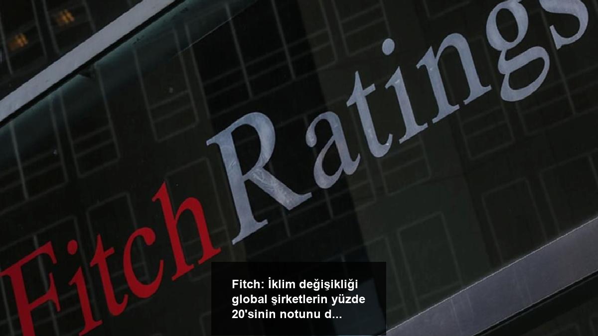 fitch-iklim-degisikligi-global-sirketlerin-yuzde-20sinin-notunu-dusurebilir-OALtAeWl.jpg