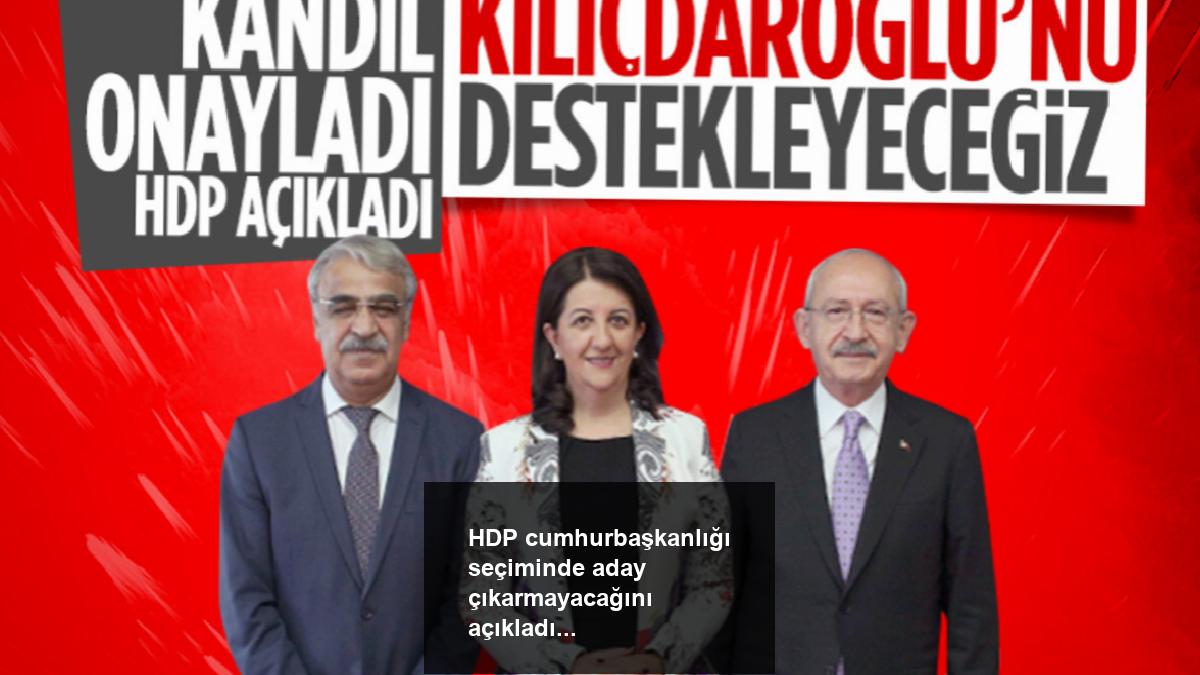 hdp-cumhurbaskanligi-seciminde-aday-cikarmayacagini-acikladi-8eMnP28B.jpg