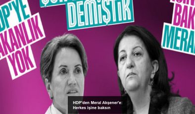 HDP’den Meral Akşener’e: Herkes işine baksın