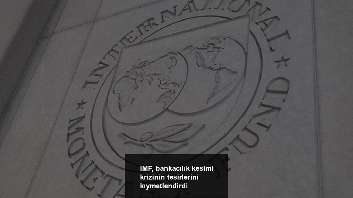 imf-bankacilik-kesimi-krizinin-tesirlerini-kiymetlendirdi-QbRJTnDa.jpg