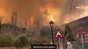 ispanyada-orman-yangini-YMmsDenl.jpg