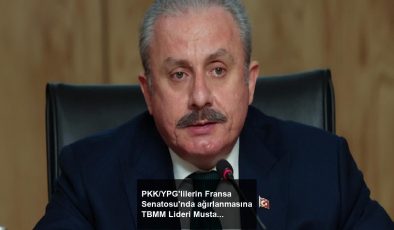 PKK/YPG’lilerin Fransa Senatosu’nda ağırlanmasına TBMM Lideri Mustafa Şentop’tan reaksiyon