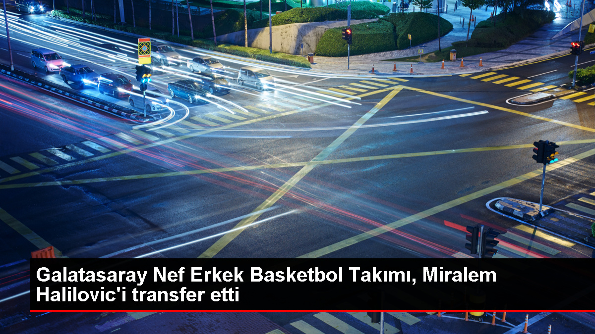 galatasaray-nef-miralem-halilovici-transfer-etti-6YVyZaLd.jpg