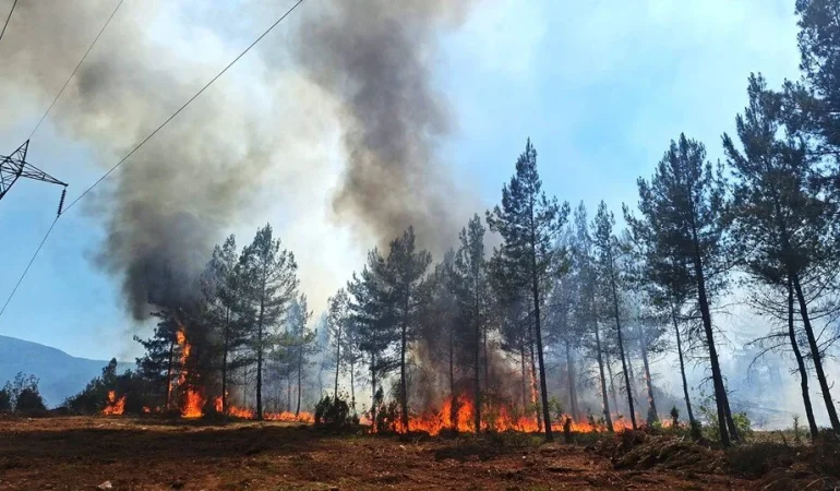 İZMİR’DEKİ ORMAN YANGINI 21,5 SAAT SONRA KONTROL ALTINA ALINDI