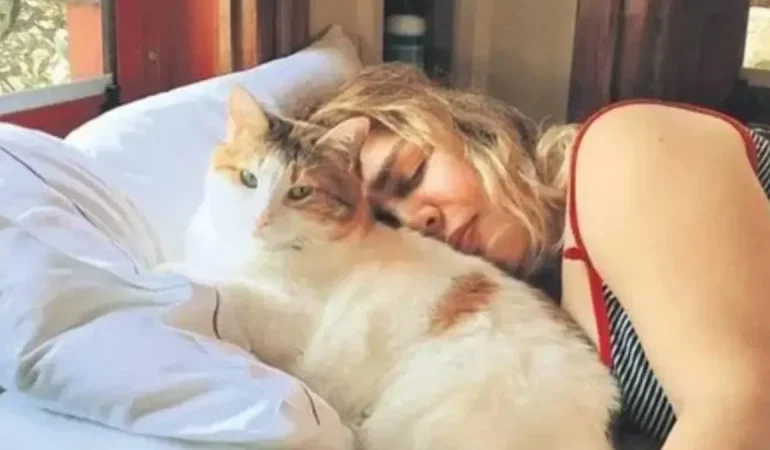 Sezen Aksu’nun Acı Günü: 16 Yıllık Kedisi Sütlü Hayatını Kaybetti