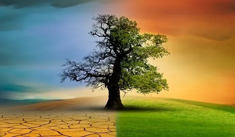 Türkiye’nin İlk İklim Kanunu Yürürlüğe Girdi!