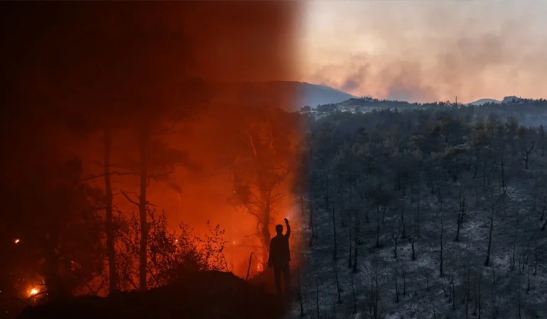 Ormanlık Alana Sıçrayan Yangın Felaket Getirdi