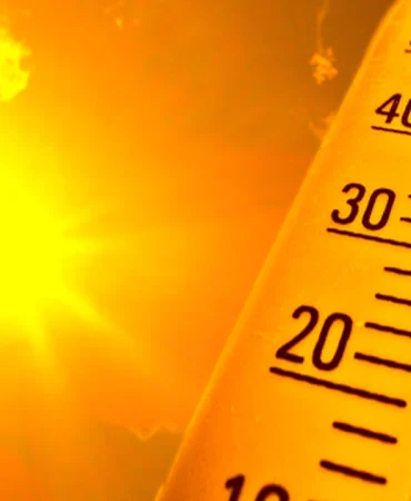 avrupada-asiri-sicaklar-nedeniyle-binlerce-kisi-hayatini-kaybetti