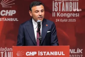 68d3cf90a1cad669__w1200xh675