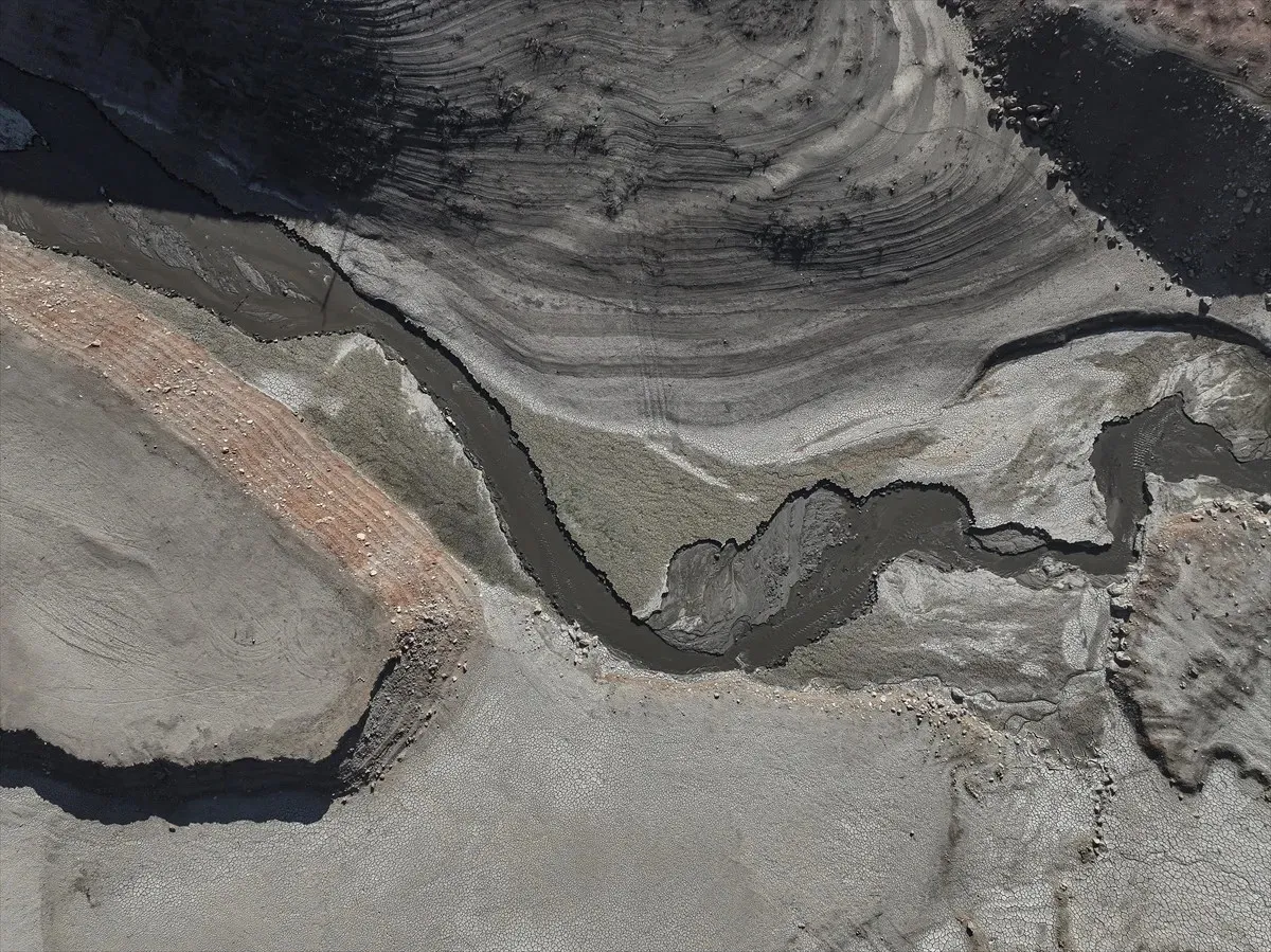 68e3879b31702430__w1200xh899